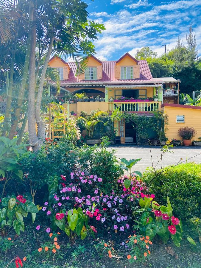 Chambres D'Hotes L'Orchidee Rose Salazie Exterior photo